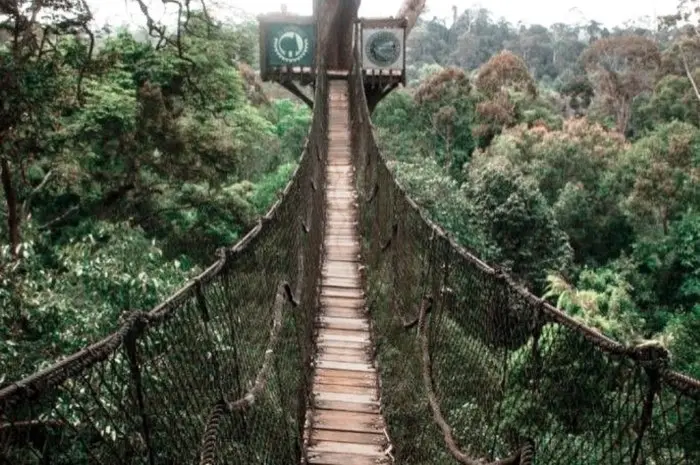Bukit Bangkirai, Objek Wisata Alam Hits dengan Panorama Alam Memukau di Kutai Kartanegara